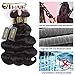 QTHAIR 16A Virgin Brazilian Body Wave Human Hair 3 Bundles (12 12 12,300g,Natural Black) 100% Unprocessed Body Wave Brazilian Human Hair Weave Extensions for African Americans Women