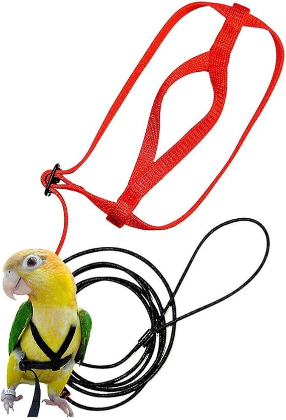 Adjustable Harness Leash For Parrot,Pet Bird Harness And Leash