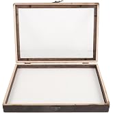 VOSAREA Insect Display Case with Clear Top Foam Pin Board Specimen Collection Box Butterfly Shadow Box 3D Floating Frame Wall Mount Display Case for Collecting Butterfly Specimen (32X23CM)