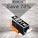 E-Z Ink Compatible Ink Cartridge Replacement for Canon PGI-225 PGI225 Compatible with PIXMA MX882 MX892 MG5320 MG6220 MG5220 MG6120 MG8220 MX712 IP4820 IP4920 IX6520 Printer (Large Black, 4 Pack)