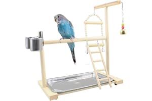 TFWADMX Parrot Playstand,Wooden Bird Playground Playpen Play Gym Training Perch Platform Hanging Cage Climbing Ladder Ramp Chew Exercise Toy with Feeder Cups for Small Budgies Parakeet Cockatiel Conure