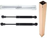 Frankberg 2x Gas Struts Rear Engine Lid Compatible with B.o.x.s.t.e.r 986 Convertible 1996-2004 Replace# 98651255101