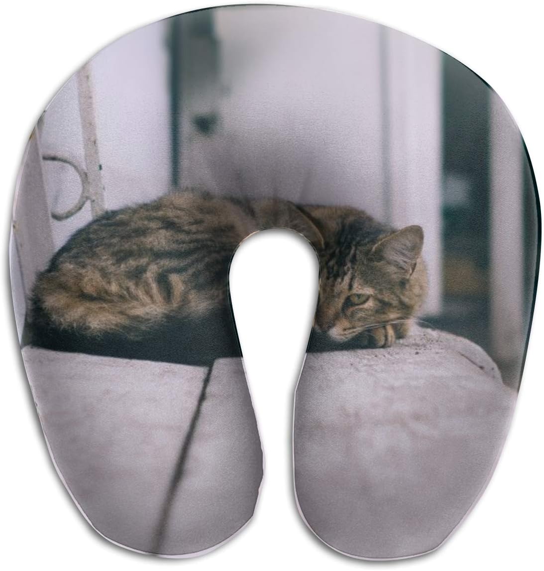 should i buy a cat u car