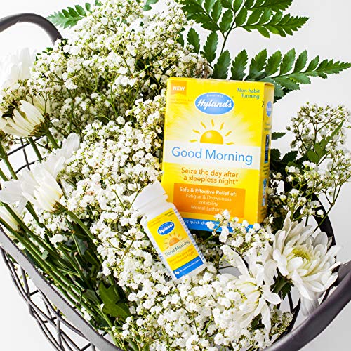 Jet Lag Homeopathic Relief Remedy Tablets by Hyland's Good Morning