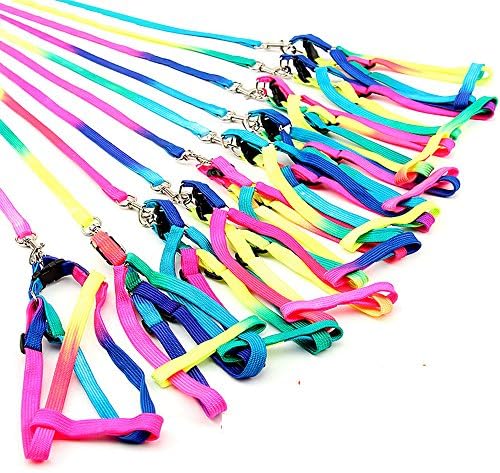 Winwin,Puppy Leash Harness,Colorful Pet Traction Rope Lead Cats Dogs Chock Chain, Pull Adjustable,Heavy Duty Dog Walking Training for Medium, Large-sized Breed(set of 3Polyester Harnesses,Random Color