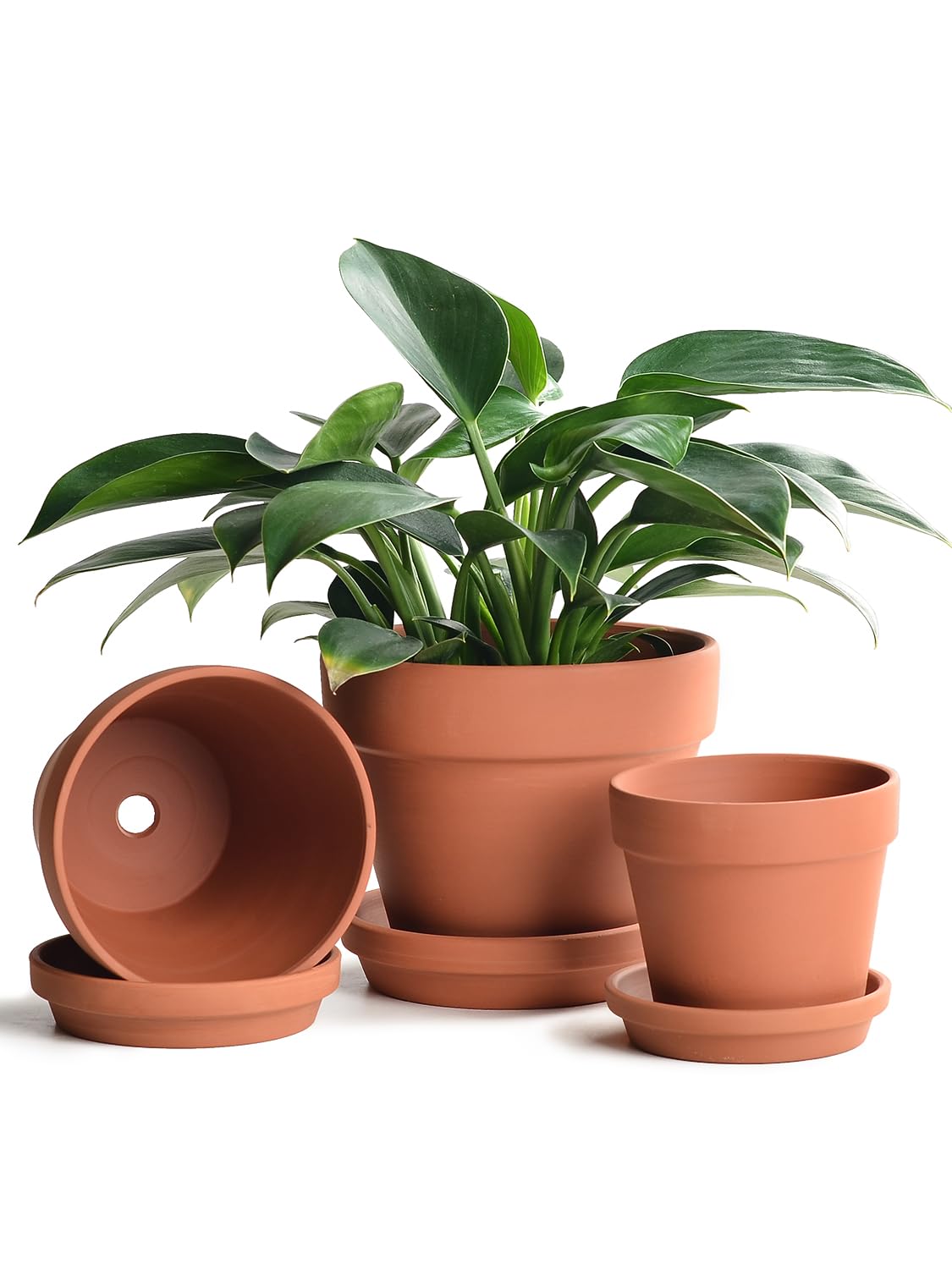 Photo 1 of INGOFIN Terracotta Pots Set with Saucer - 5/6/7 inch Ceramic Clay Planters with Drainage Hole, Garden Flower Succulent Pots with Tray for Indoor Outdoor Plants, Set of 3