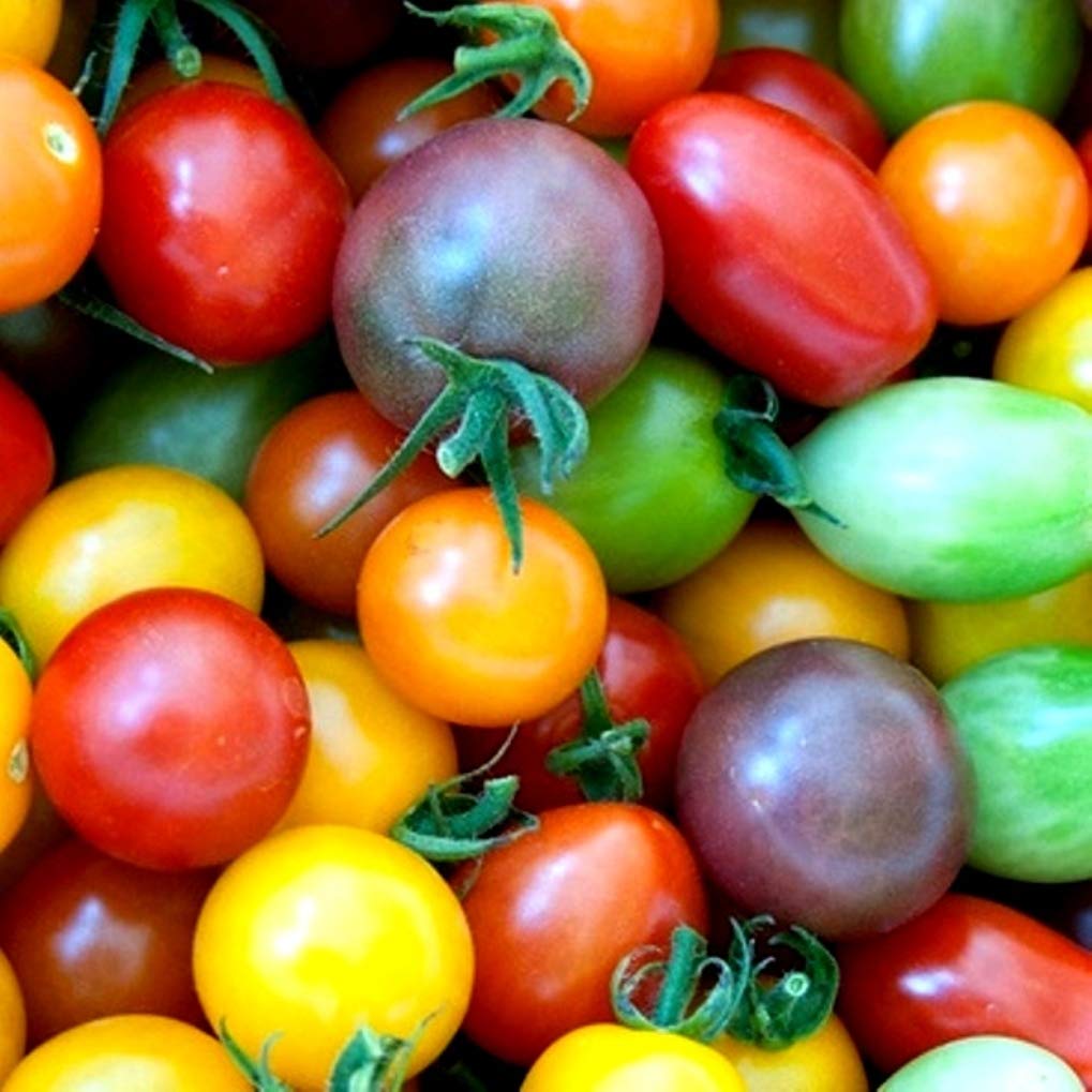 Rainbow Cherry Tomato Mix Seeds Colorful Heirloom Blend
