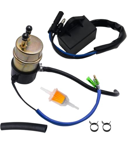 Amazon.com: Stens 520-812 Fuel Pump Compatible With/Replacement