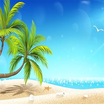 Mmptn 5x5ft Cartoon Palma Sfondo Per Foto Sunshine Glitter Mare Sabbia Conchiglie Vista Sulla Spiaggia Sfondo Per Bambini Festa Di Compleanno Eventi Di Nozze Puntelli Per Studio Fotografico Amazon It Elettronica