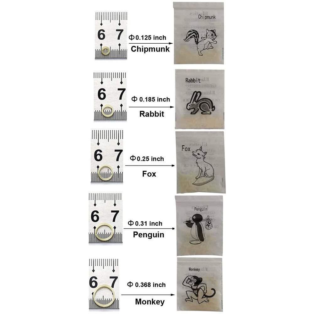 Descompune Eclipsă De Soare Lume Ormco Z Pak Elastics Bagher Alolum Org