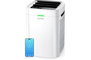 LUNINO Air Purifiers for Home Large Room Up to 2600 Ft², Double-Sided HEPA Air Purifier with Washable Pre-filter, Fan Mode, Smart WiFi, PM 2.5 Air Quality Monitor, for Pets Hair, Dust, Pollen, Smoke