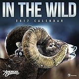 2017 In the Wild Wall Calendar by 