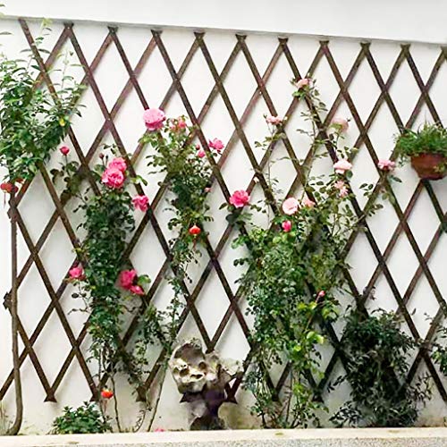 Rankgitter/Multifunktions-Anlage Gitter Klettergerüst/dekorative Gitter/Balkon Rankgitter/Ausziehbare Garten Spalier… – Bild 3