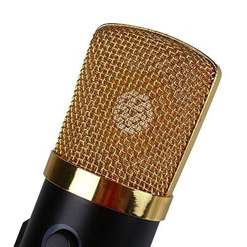 Xinzhi Condenser Microphone -USB Microphone, Plug &Play Home Studio USB Condenser Microphone for Skype, Recordings,Google Voice Search, Games(Windows/Mac)