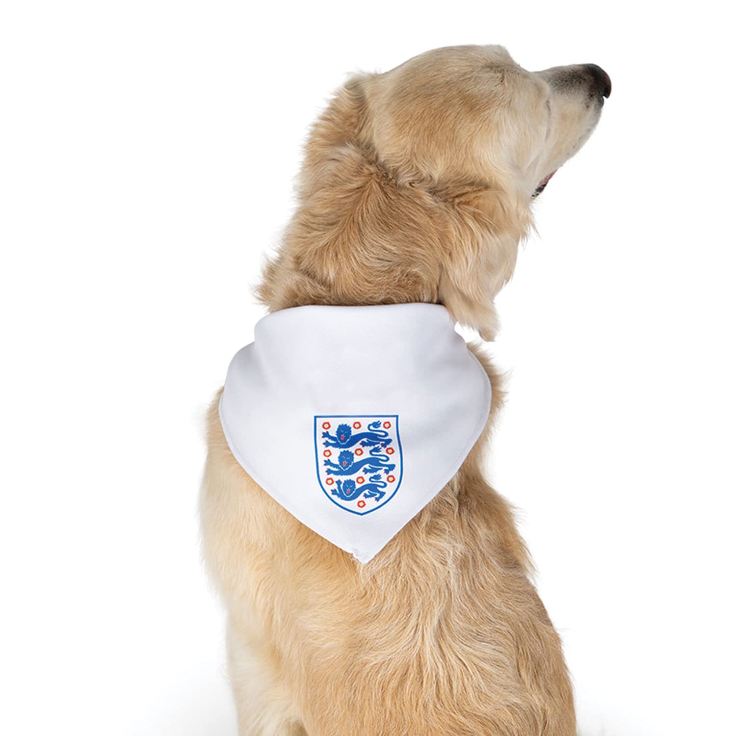 Dogsy Official England Dog Bandana | Football Dog Bandana | Dog England Bandana | England Dog Accessories | Licensed England Football Merchandise (Large)