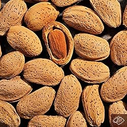 Natural In Shell Raw California Almonds