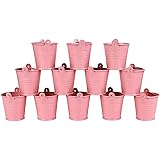 LCJHOMTOO 12 Pack All-in-1 Tiny Metal Bucket with Heaght 2.1" Candy Boxes Birthday Wedding Party Favours Gift/Serving Bucket 