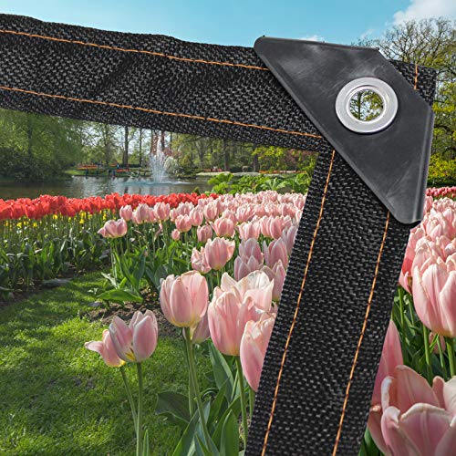 BeGrit Upgraded Waterproof Glass Clear Tarpaulin Sheet,Heavy Duty Dustproof Rainproof Strengthen Windproof Vinyl Tarp Cover,2M X 2M with Eyelets Bungees Ball Cord for Plants Greenhouse Pet Hutch Roof