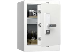 RPNB Deluxe Home Safe and Lock Box,Smart Touch Screen Biometric Fingerprint Security Safe Box with Voice Prompt,One-touch Unl