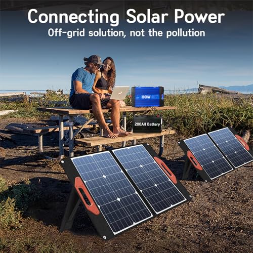 ETREPOW 3000 W / 6000 W 24 V to 230 V Pure Sine Wave Inverter with Remote Control, 2 EU Sockets, 2 USB + Tycp-C Connections, Suitable for Household Appliances, Motorhomes, Camping Voltage Converter