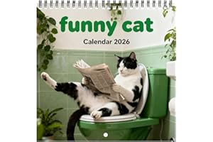 Funny Cat Calendar 2026, Cute Monthly Cat Wall Calendar with Hanging Hole, Glossy Thick Paper 12 Month Calendars for Home & O