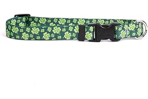 Yellow Dog Design 4 Leaf Clover Dog Collar Fits Neck 14 To 20", Medium 1" Wide