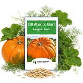 Dills Atlantic Giant Pumpkin Seeds for Planting, 10 Seeds | Non GMO, Heirloom Seeds