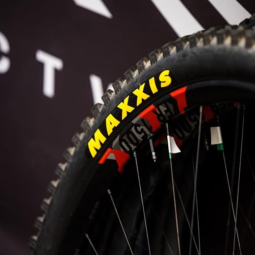 MAXXIS Minion DHR II Tire – EXO Protection, E25 Rated, Tubeless Ready For Mountain Biking (Multiple Sizes)