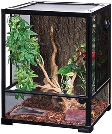 lizard tank pets at home