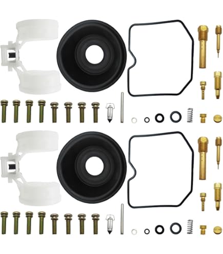 Amazon.com: All Balls Racing 26-1719 Carburetor Rebuild Kit