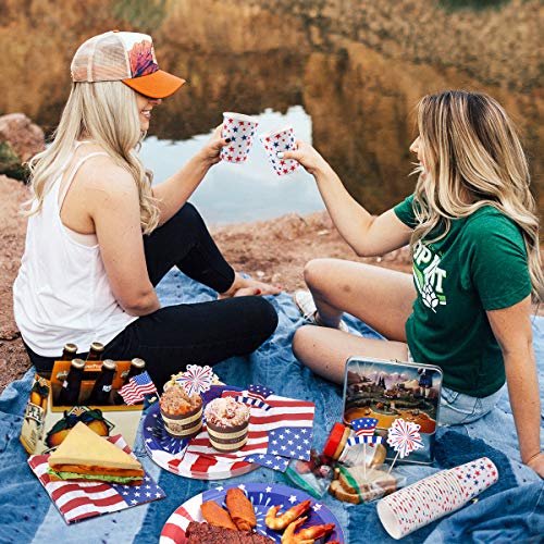 5 Decorations+Disposable+Dinnerware+Supplies+Independence