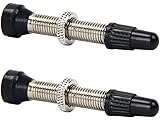 Holdlebe 2 x Presta Valve Tubeless Universal Removable Core Removable Copper for Bicycle MTB 35 mm