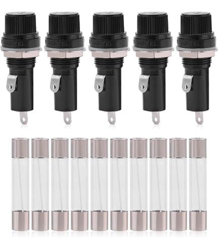 BOJACK Fusibles Céramique T20A250V 6x30mm Fusion Lente - Lot De 20