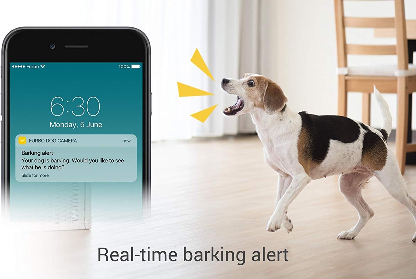 amazon dog camera treat