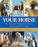 Your Horse: The Illustrated Handbook to Owning and Caring for Your Horse by
