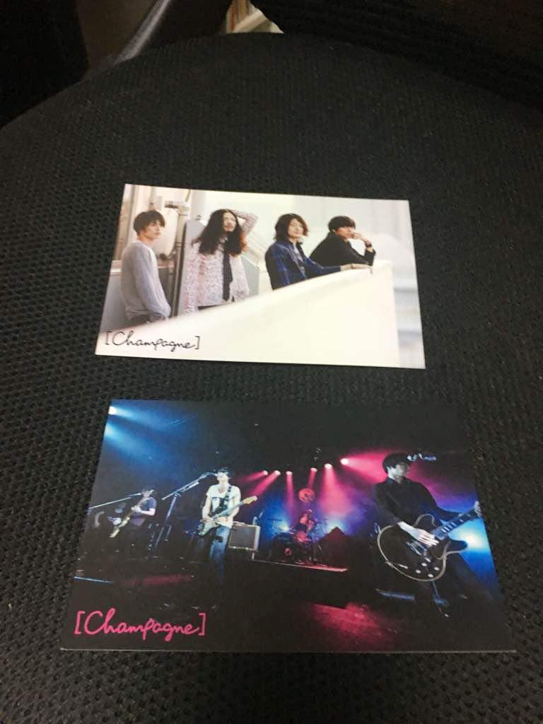 人気急上昇 Demo Alexandros 超貴重ポストカード ロゴシール付き