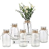 6PCS Vintage Glass Flower Vase, FarmhouseTransparent Glass Vases for Centerpieces, Decorative Table Vases for Weddings, Parties, Housewarming Birthday Floral Arrangements