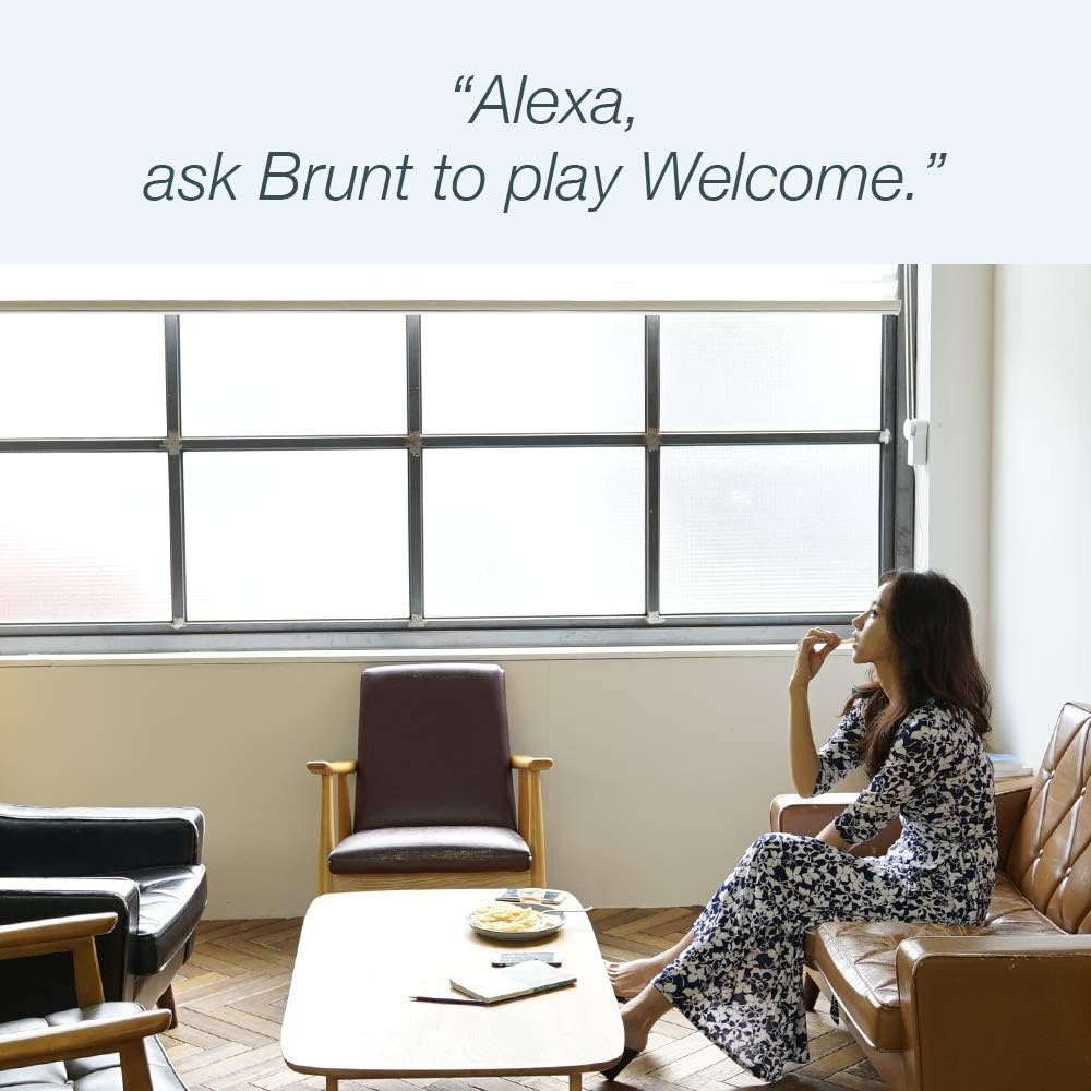 brunt blind engine amazon