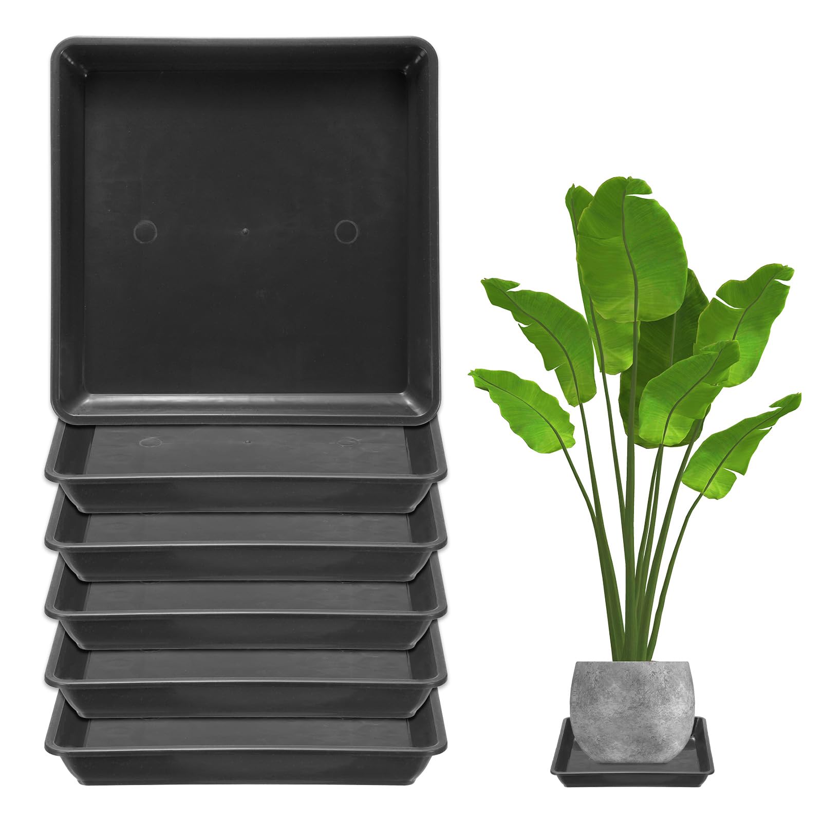 M METERXITY 6-Pack Plant Pot Saucers, 7 Inch 18cm Plastic Square Flower Drip Tray, Pot No Holes Durable Plant Trays for Pots Base Indoors/Outdoors Plants [Black]