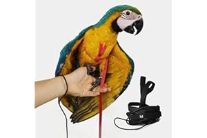 BARN ELEVEN Adjustable Bird Harness with 78.7 Inch Leash, Outdoor Flying Training Rope Kit for Bird Parrots, Parrot Flying Rope Straps Outdoor Training Traction Rope for Small Medium Large Size Birds (M)