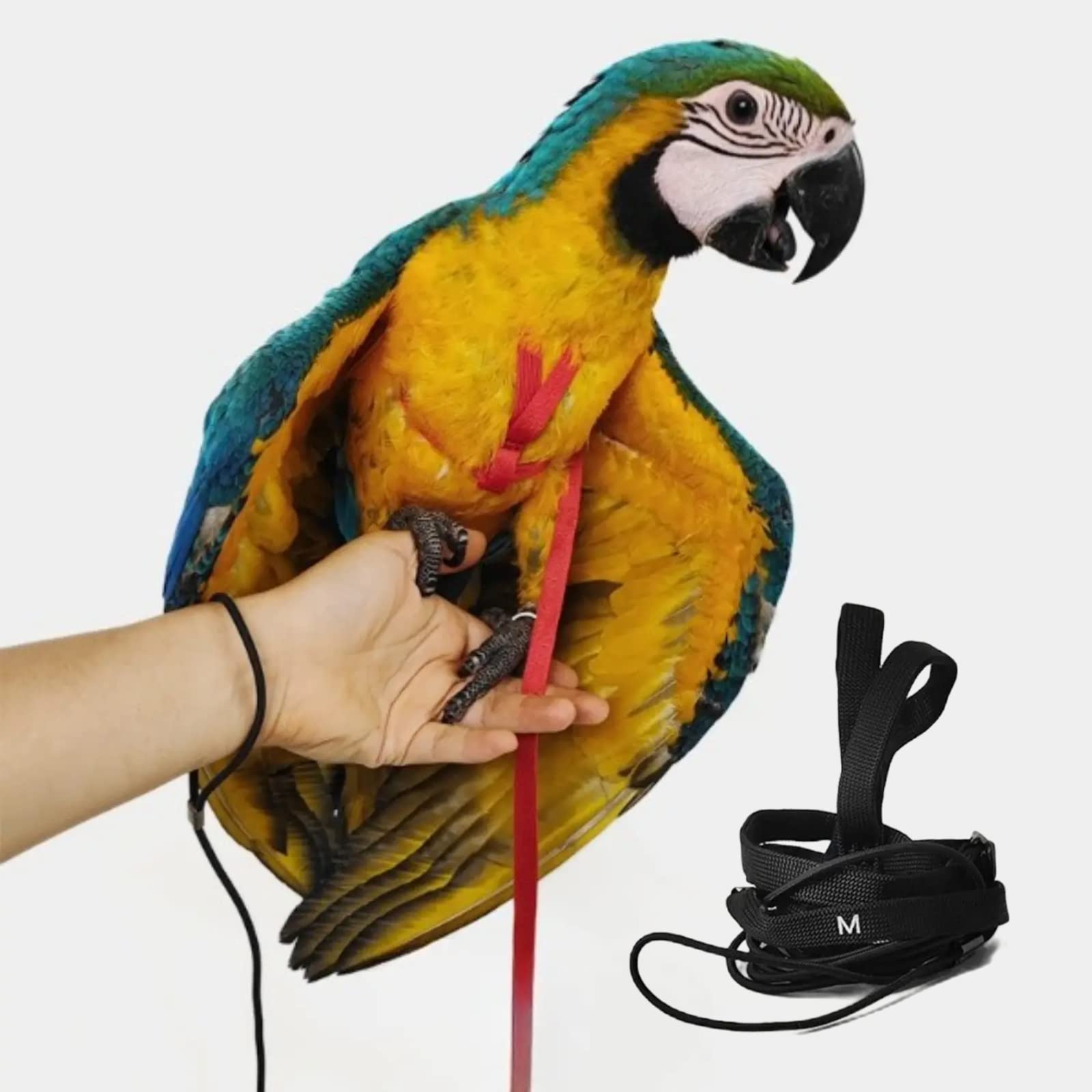 Photo 1 of Adjustable Bird Harness with 78.7 Inch Leash, Outdoor Flying Training Rope Kit for Bird Parrots, Parrot Flying Rope Straps Outdoor Training Traction Rope for Small Medium Large Size Birds (M)