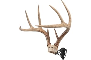 ALLEN COMPANY AC ALLEN7220