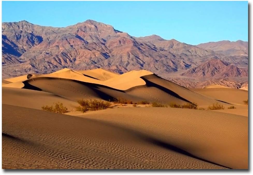 The 10 Best Death Valley Magnets For Refrigerator