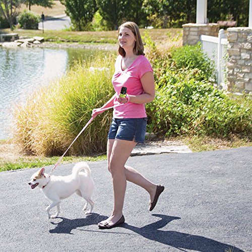 Maximum Strength Protector Pepper Spray Dog Attack Deterrent—AllNatural and eBay