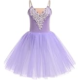 AFAVOM Ballet Leotards for Women Ballerina Performance Swan Lake Costumes Embroidery Tulle Camisole Skirted Leotard Dancewear