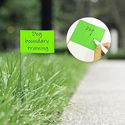 Zozen Marking Flags, Green Color | 1000 Pcs