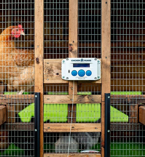 ChickenGuard Standard Automatic Chicken Coop Door Opener, Timer Only, Lifts Pop Hole Doors up to
