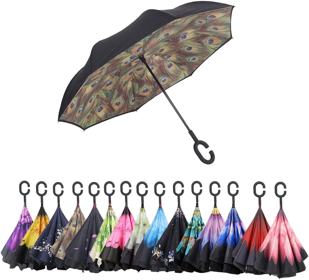 The 2 Best 3000 Years Of Building And Construction