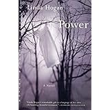 Power: A Novel (Norton Paperback Fiction)