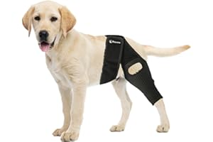 PetCove Dog Knee Brace, Size Small Dog Leg Brace, Dog Knee Brace for Torn Acl Hind Leg, Dog Leg Braces for Back Leg, Dog Acl Brace Hind Leg, Acl Brace for Dogs Rear Leg